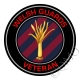 Welsh Guards Veterans Sticker